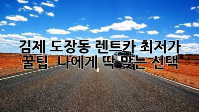 김제 도장동 렌트카 최저가 꿀팁! 🚗💨 나에게 딱 맞는 선택?